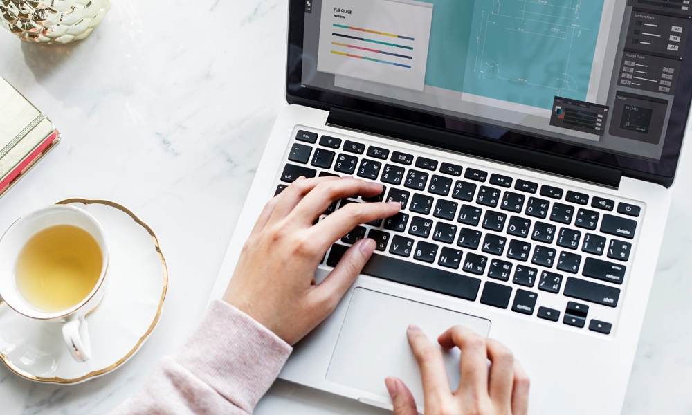 Wordpress Danışmanlığı